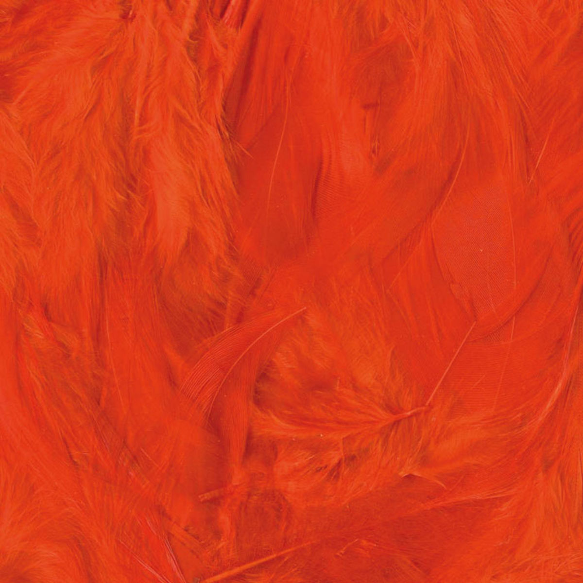 Plumes - Orange