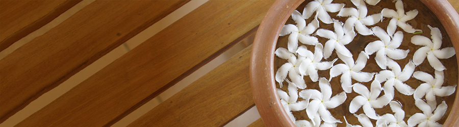 Eucalan jasmin